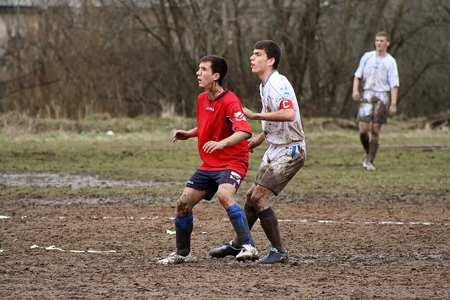 其他国家提 其他国家提