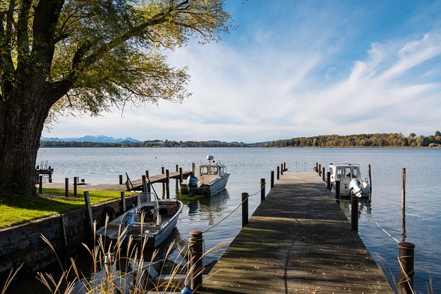 为南京点赞 为南京点赞