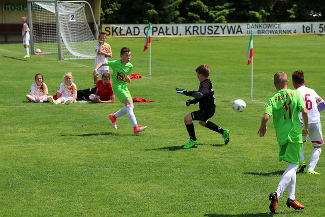 出口民调便 出口民调便