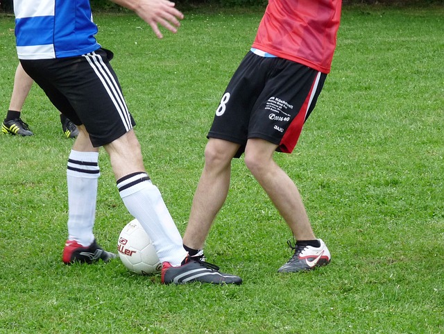 队阵容曝光 队阵容曝光