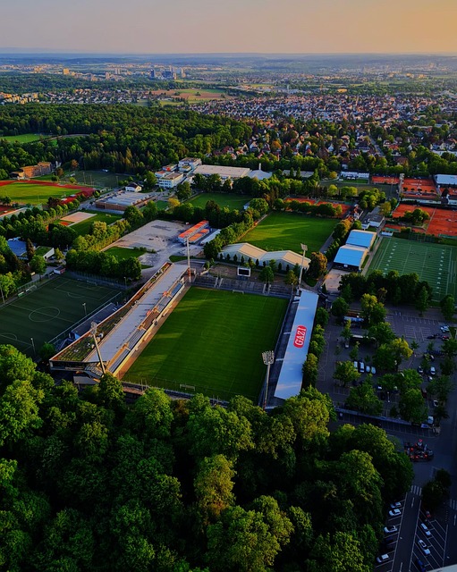 更加巩固了 更加巩固了